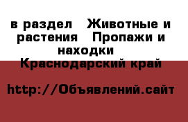  в раздел : Животные и растения » Пропажи и находки . Краснодарский край